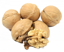 ГРЕЦКИЙ ОРЕХ В СКОРЛУПЕ /ВЕС