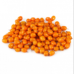 ОБЛЕПИХА ЗАМ /ВЕС