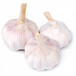 ЧЕСНОК /ВЕС