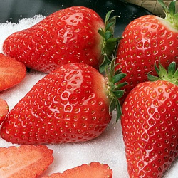 КЛУБНИКА СВЕЖАЯ /ВЕС