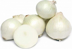 ЛУК РЕПЧАТЫЙ БЕЛЫЙ /ВЕС